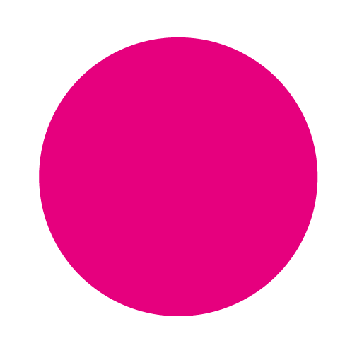 Iron-on "FEMINISTA"